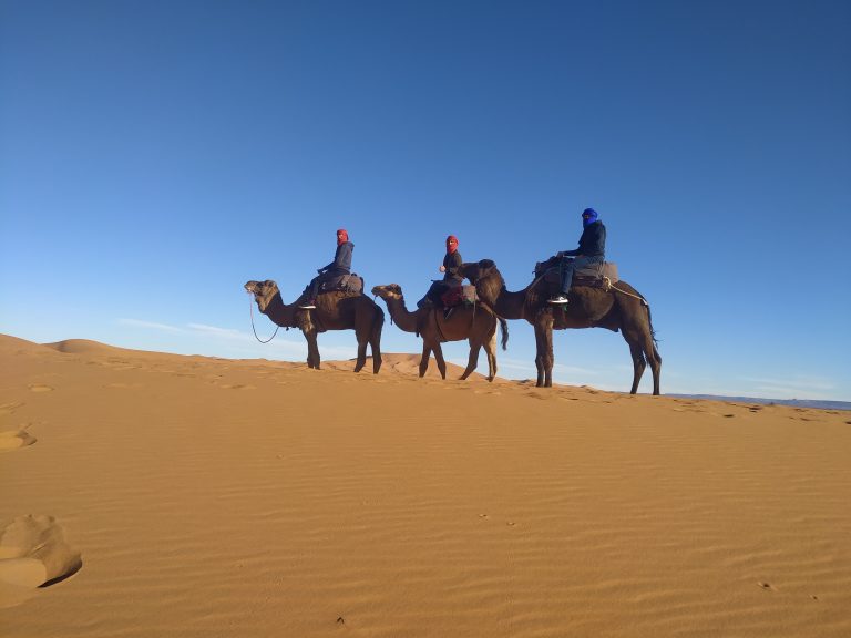 Výlet u Berberov na púšti s ťavami_