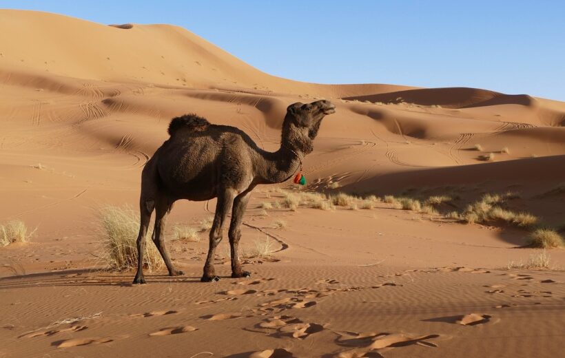 Maroko - veľká výprava od púšte po Atlantik